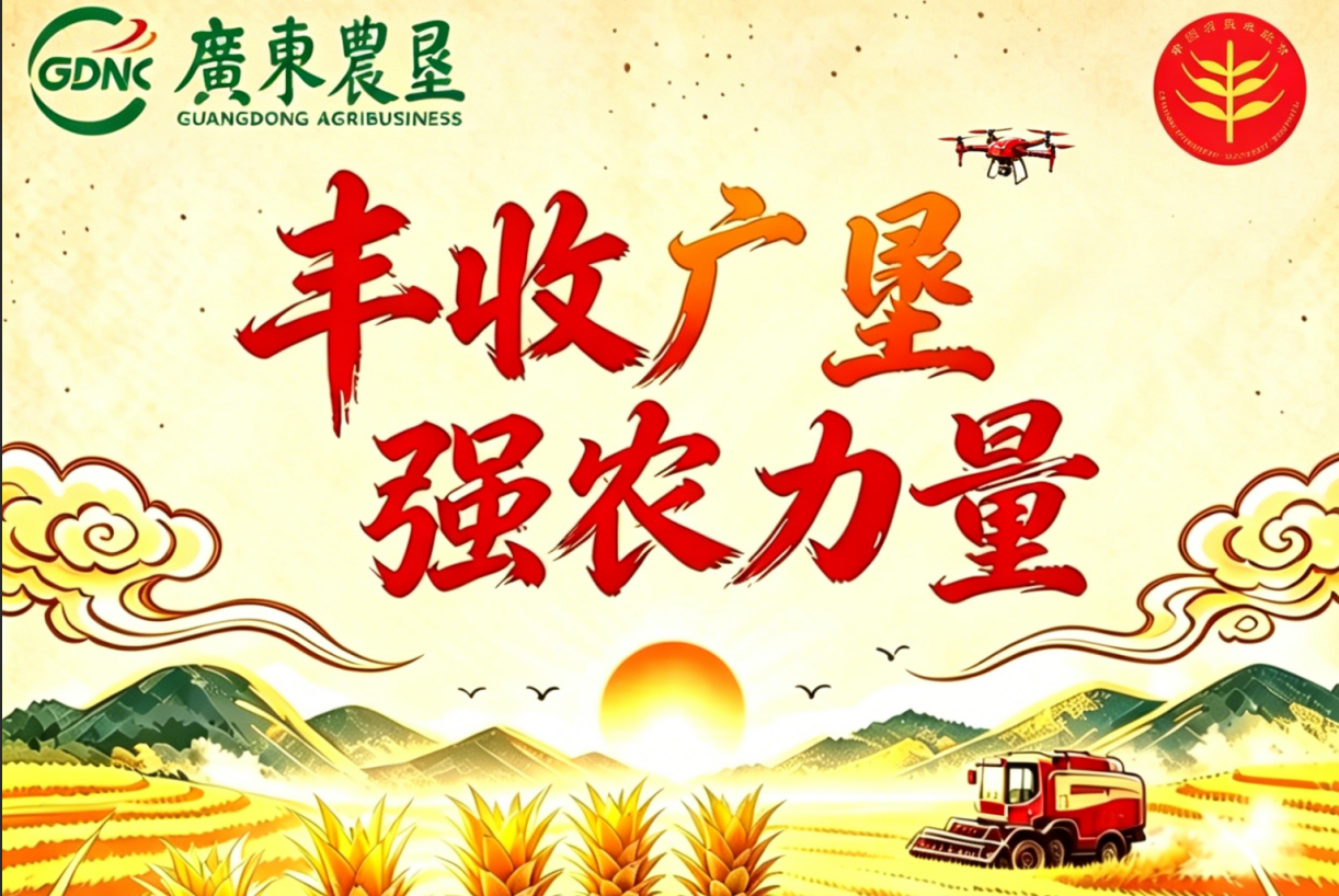广垦，便是丰收的力量