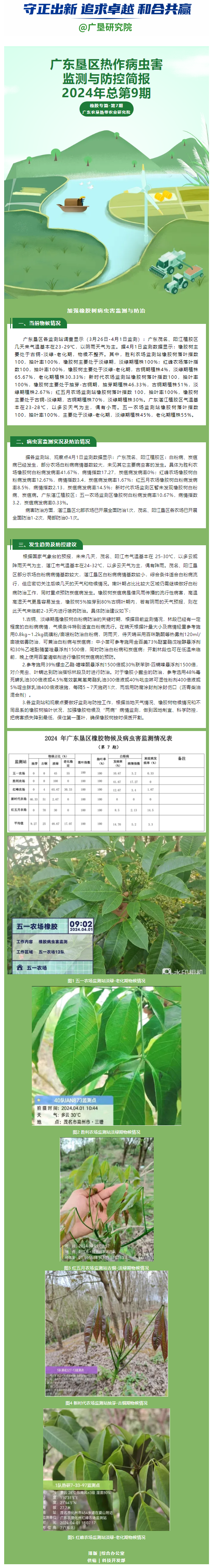 广东垦区热作病虫害监测与防控简报——橡胶专篇第7期（2024年总第9期）.png