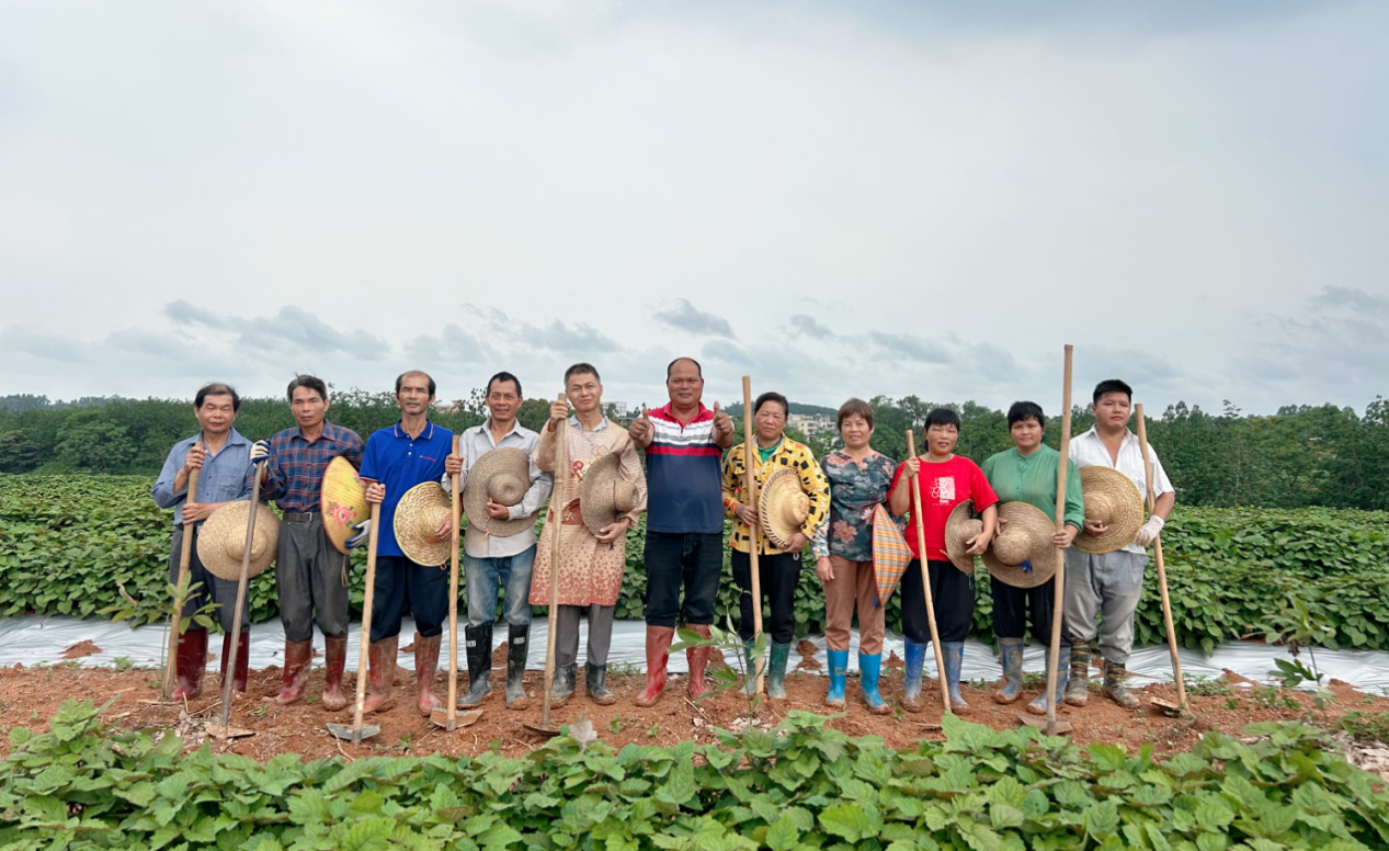 1716175523523.png 1716175523523.png