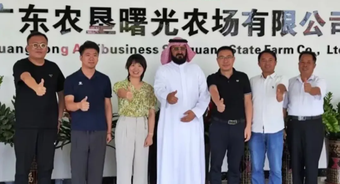 1716365309965.png 1716365309965.png