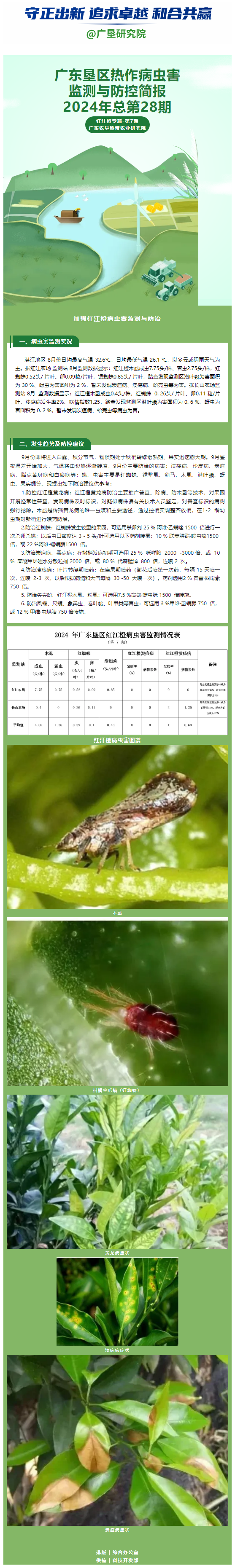 广东垦区热作病虫害监测与防控简报——红江橙专篇第7期（2024年总第28期）.png
