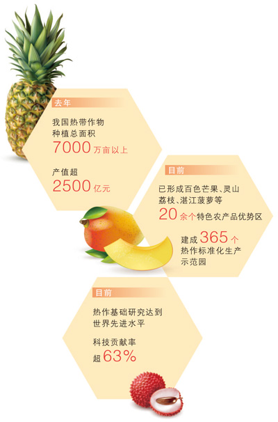 1744709691133.jpg 热带.jpg