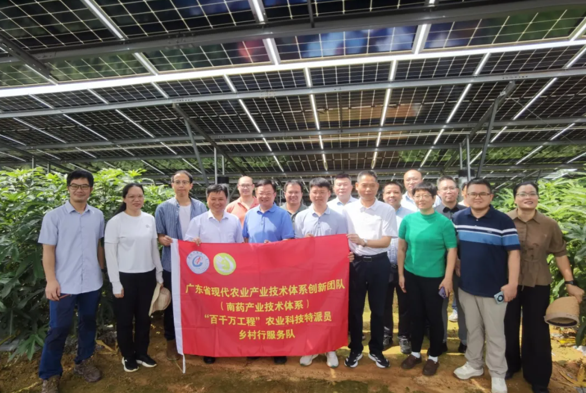 1763946383263.png 1763946383263.png