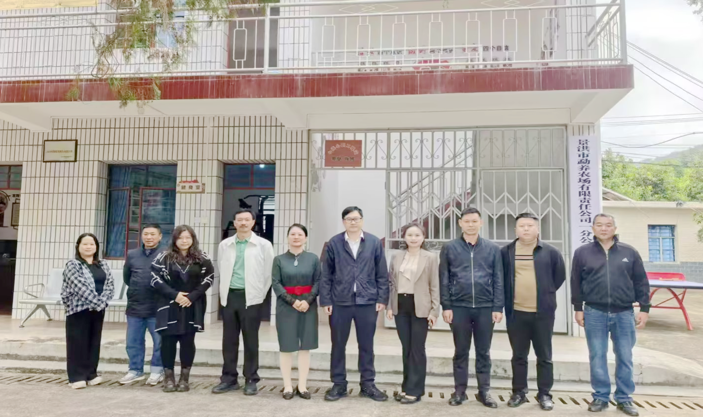 1764655931965.png 1764655931965.png