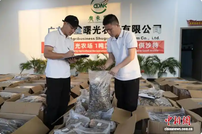 1766978803188.png 1766978803188.png