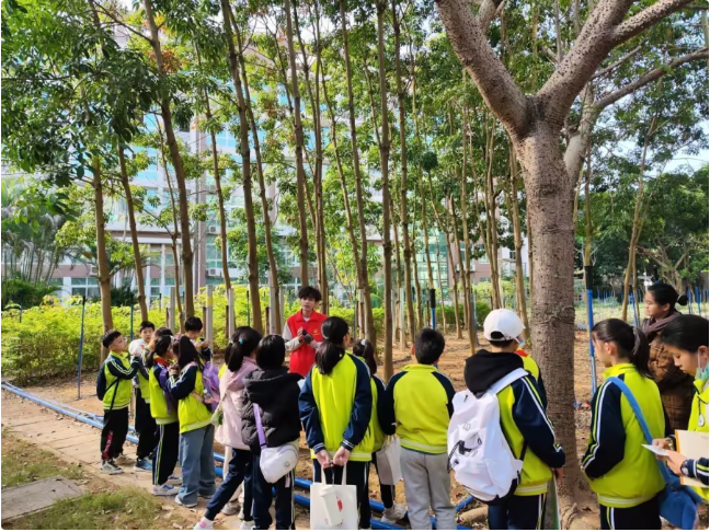 1767515718667.png 1767515718667.png