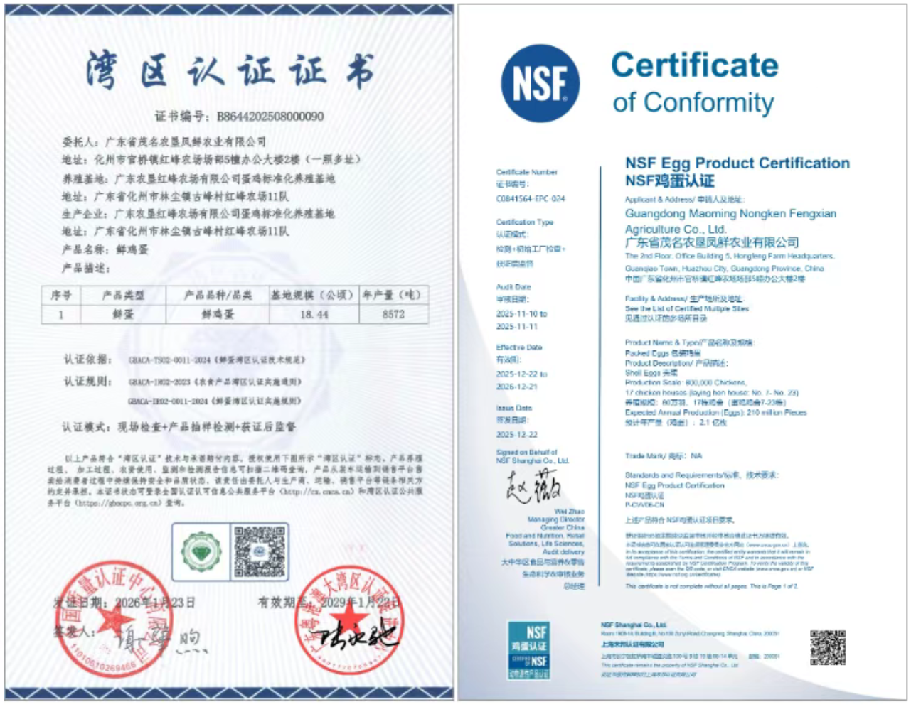 1769658523484.png 1769658523484.png