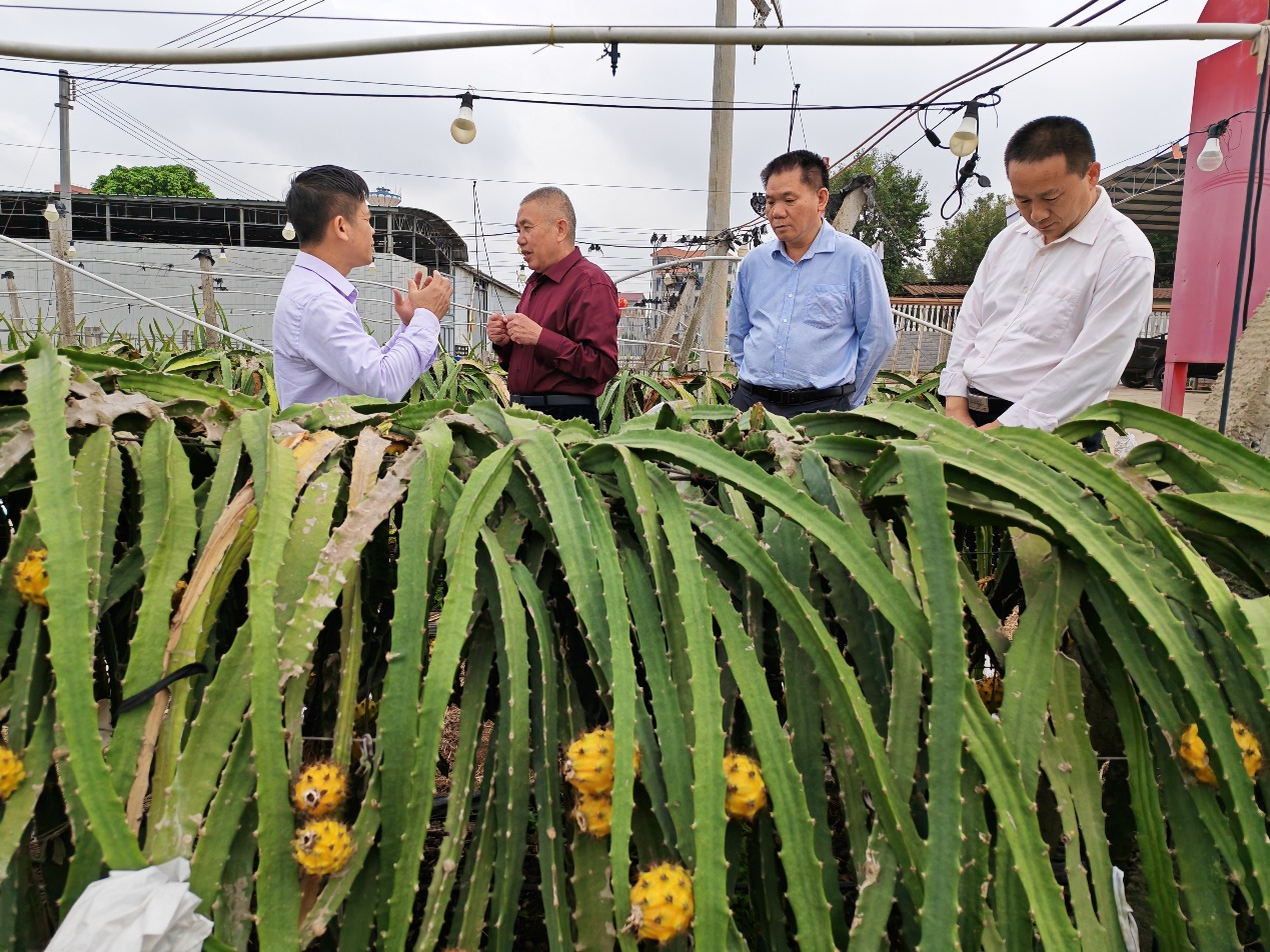 1772173245096.png 1772173245096.png