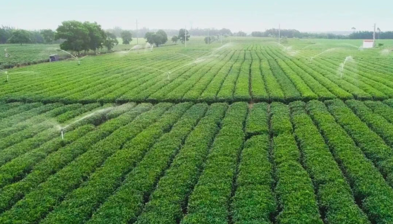 1772448958697.png 1772448958697.png