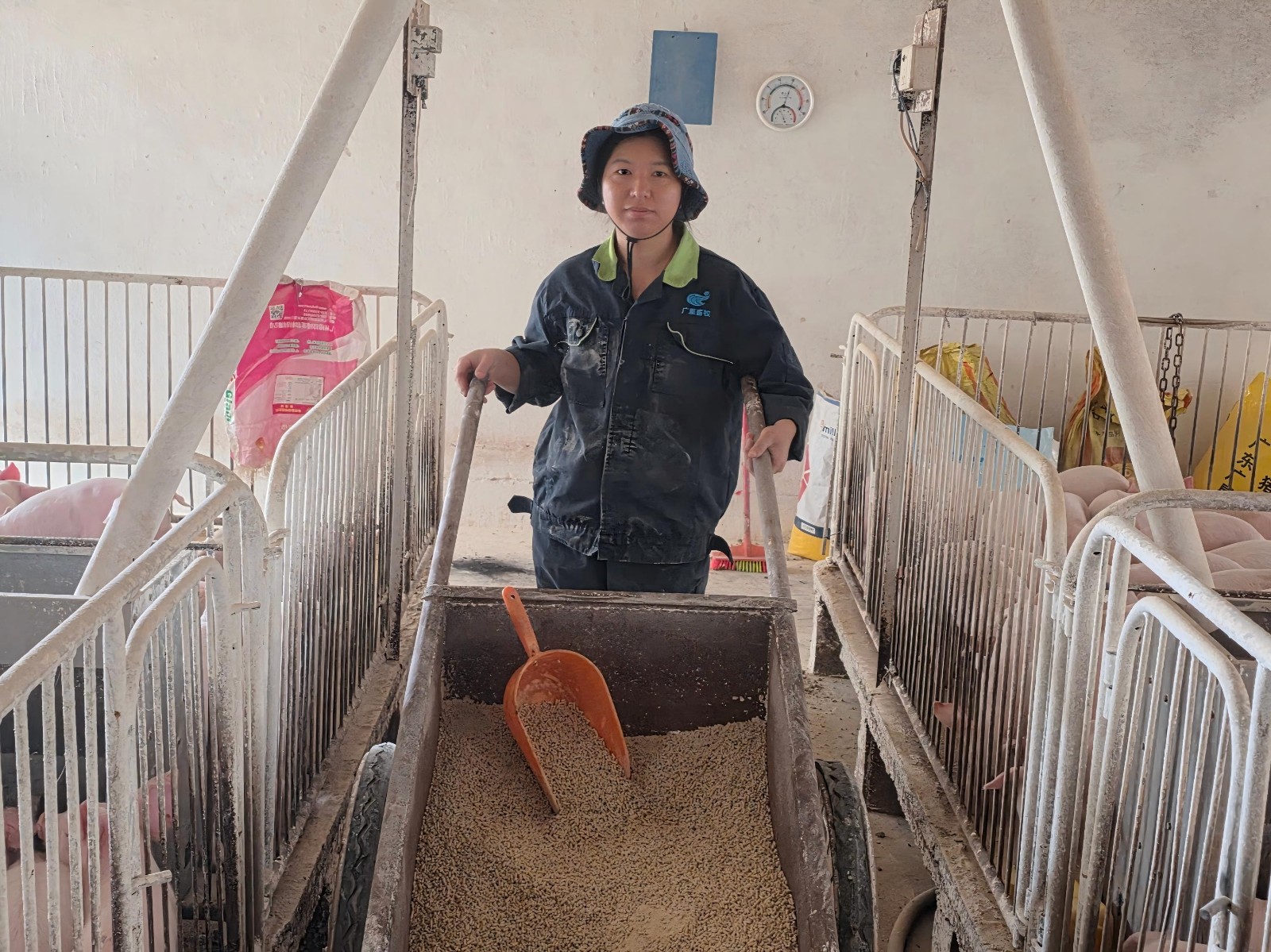 1773628927259.jpg 1773628927259.jpg