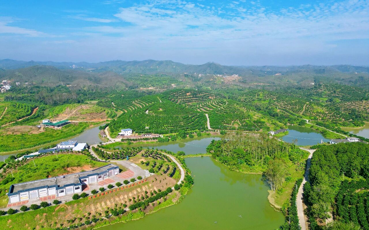 1775037524228.jpg 1775037524228.jpg