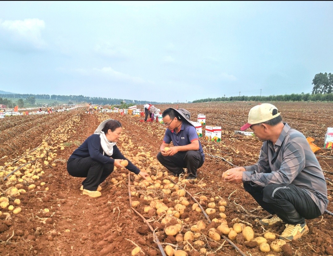 1775554293905.jpg 1775554293905.jpg