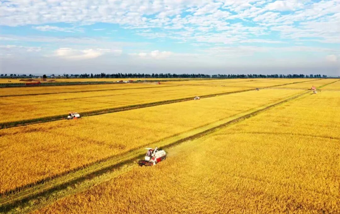 1775814464722.jpg 1775814464722.jpg