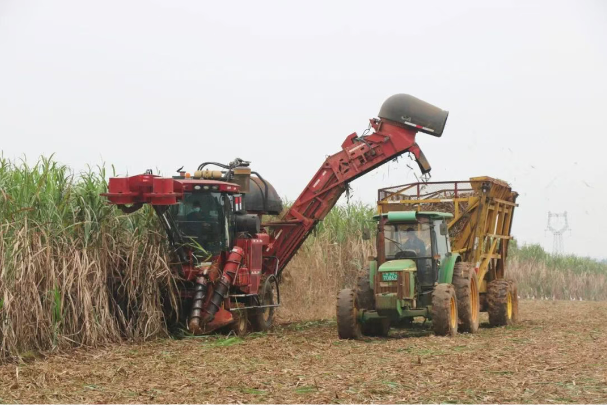 1776329595334.png 1776329595334.png