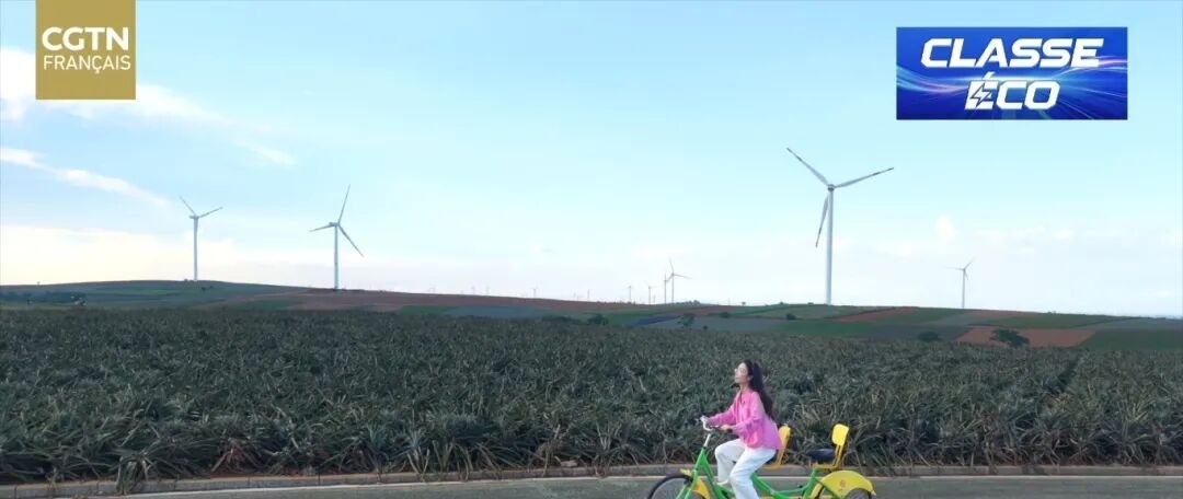 1783583941075.png 1783583941075.png