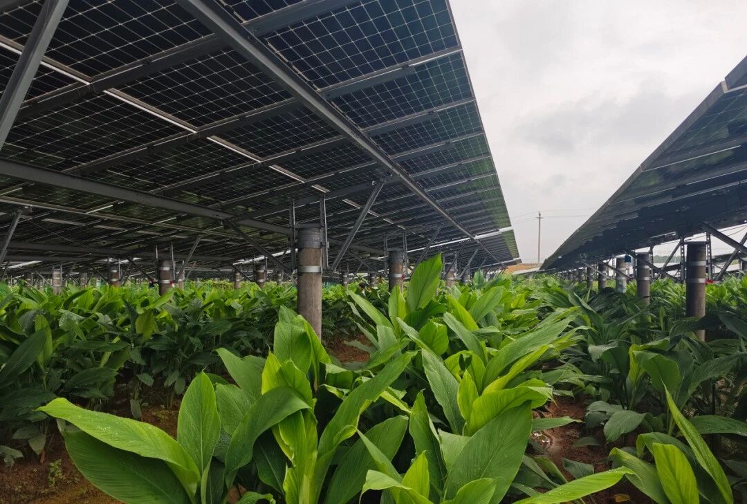 1787565550551.jpg