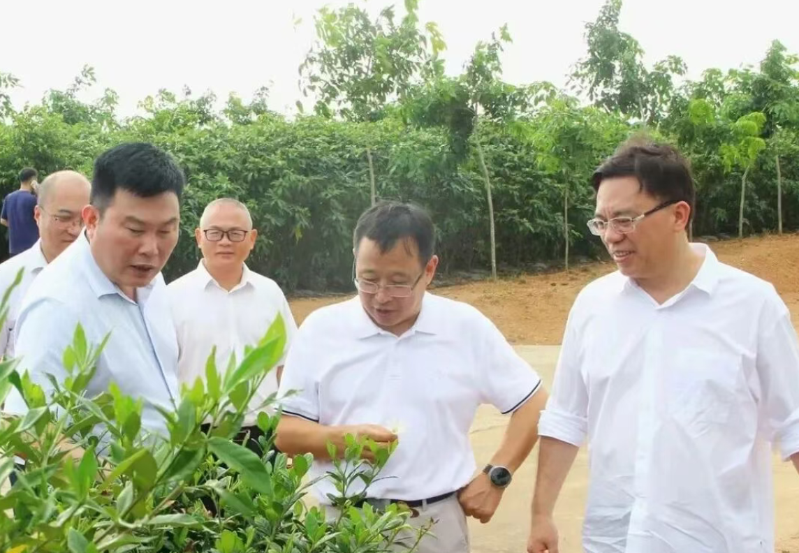 1790211638227.png